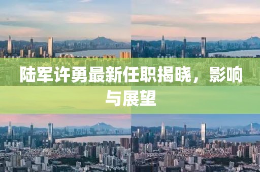 陸軍許勇最新任職揭曉，影響與展望