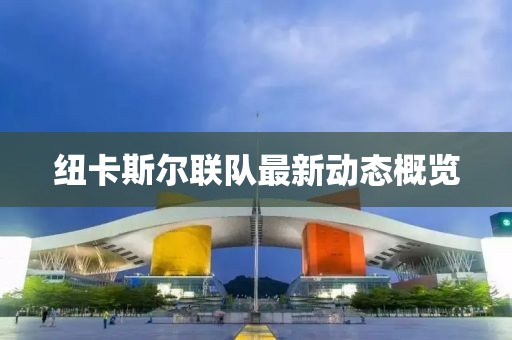紐卡斯?fàn)柭?lián)隊(duì)最新動(dòng)態(tài)概覽