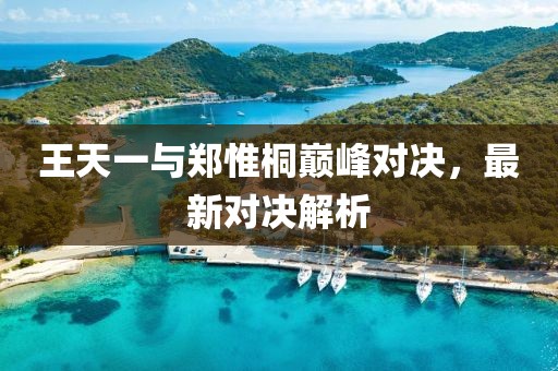 王天一與鄭惟桐巔峰對決，最新對決解析