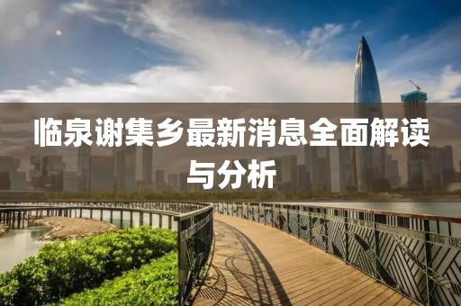 臨泉謝集鄉(xiāng)最新消息全面解讀與分析