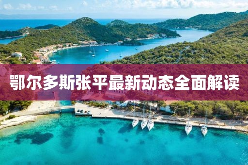 鄂爾多斯張平最新動(dòng)態(tài)全面解讀