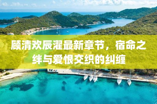 顧清歡辰濯最新章節(jié)，宿命之絆與愛(ài)恨交織的糾纏