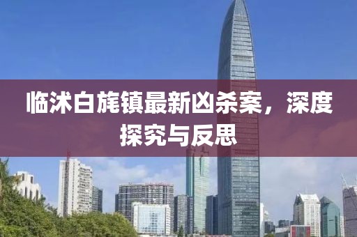 臨沭白旄鎮(zhèn)最新兇殺案，深度探究與反思