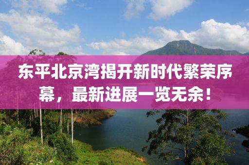 東平北京灣揭開(kāi)新時(shí)代繁榮序幕，最新進(jìn)展一覽無(wú)余！