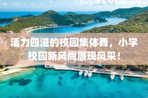 活力四溢的校園集體舞，小學(xué)校園新風(fēng)尚展現(xiàn)風(fēng)采！
