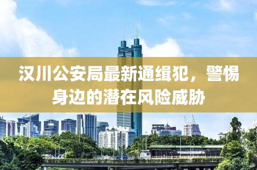 漢川公安局最新通緝犯，警惕身邊的潛在風(fēng)險(xiǎn)威脅