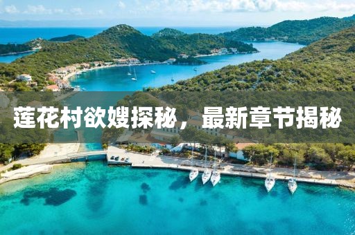 蓮花村欲嫂探秘，最新章節(jié)揭秘