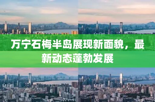 萬寧石梅半島展現(xiàn)新面貌，最新動態(tài)蓬勃發(fā)展