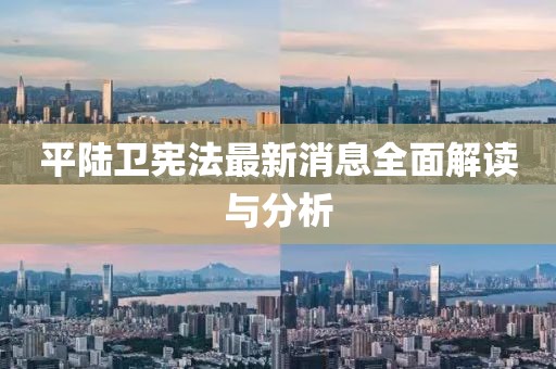 平陸衛(wèi)憲法最新消息全面解讀與分析