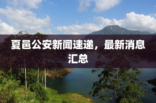 夏邑公安新聞速遞，最新消息匯總
