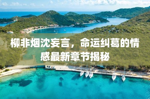 柳非煙沈妄言，命運(yùn)糾葛的情感最新章節(jié)揭秘