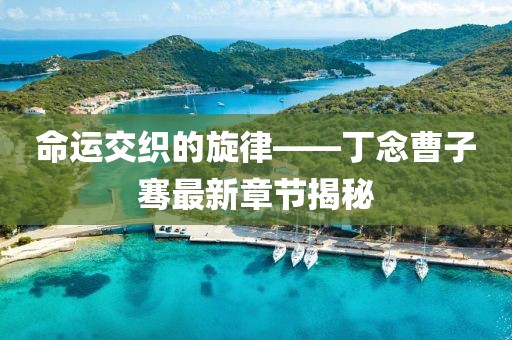 命運(yùn)交織的旋律——丁念曹子騫最新章節(jié)揭秘