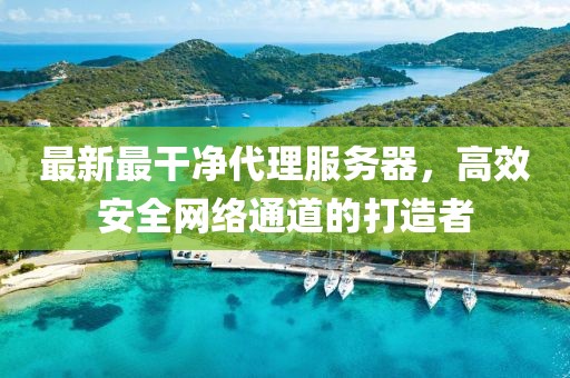 最新最干凈代理服務(wù)器，高效安全網(wǎng)絡(luò)通道的打造者