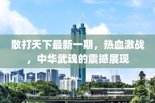 散打天下最新一期，熱血激戰(zhàn)，中華武魂的震撼展現(xiàn)