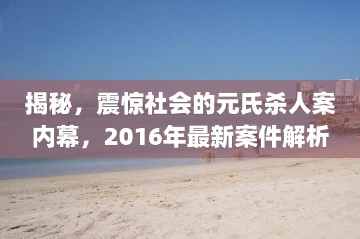 揭秘，震驚社會(huì)的元氏殺人案內(nèi)幕，2016年最新案件解析
