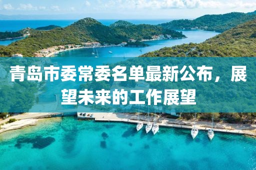 青島市委常委名單最新公布，展望未來的工作展望