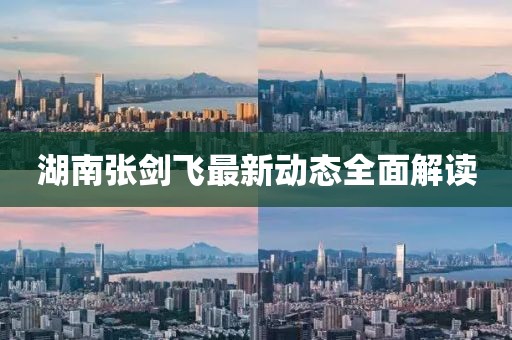 湖南張劍飛最新動態(tài)全面解讀