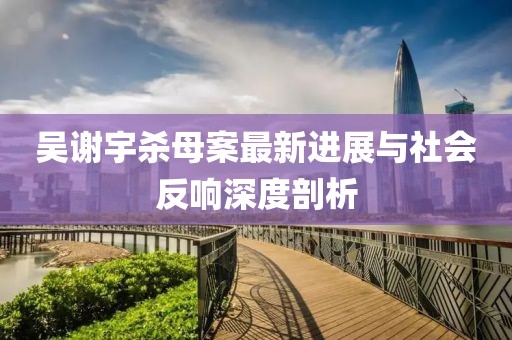 吳謝宇殺母案最新進展與社會反響深度剖析