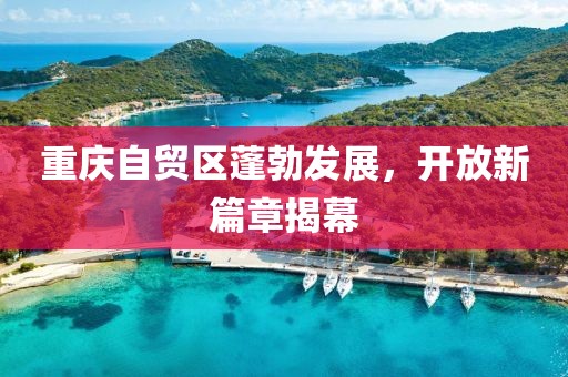 重慶自貿(mào)區(qū)蓬勃發(fā)展，開(kāi)放新篇章揭幕