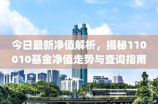 今日最新凈值解析，揭秘110010基金凈值走勢(shì)與查詢指南