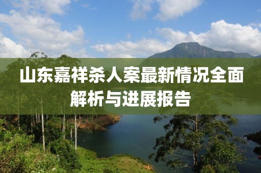山東嘉祥殺人案最新情況全面解析與進(jìn)展報(bào)告