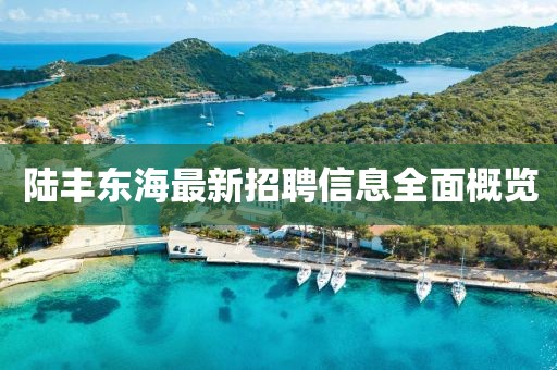 陸豐東海最新招聘信息全面概覽