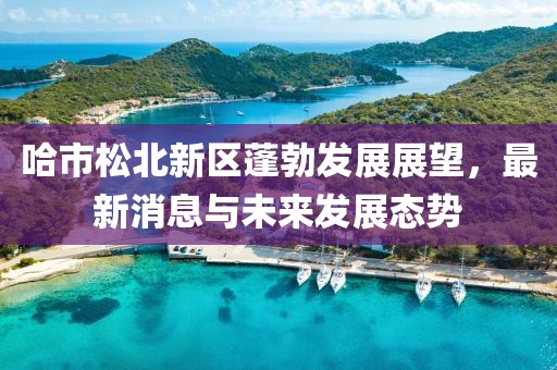 哈市松北新區(qū)蓬勃發(fā)展展望，最新消息與未來發(fā)展態(tài)勢