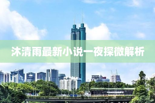沐清雨最新小說一夜探微解析