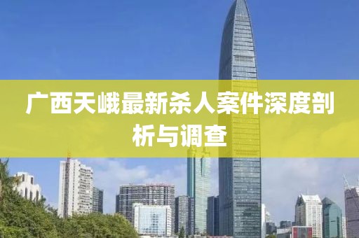 廣西天峨最新殺人案件深度剖析與調(diào)查