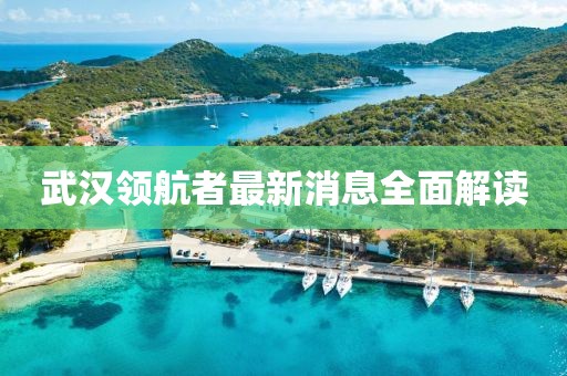 武漢領(lǐng)航者最新消息全面解讀