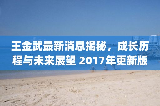 王金武最新消息揭秘，成長(zhǎng)歷程與未來(lái)展望 2017年更新版