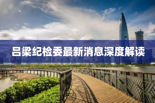 呂梁紀(jì)檢委最新消息深度解讀