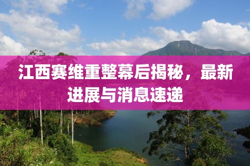 江西賽維重整幕后揭秘，最新進(jìn)展與消息速遞