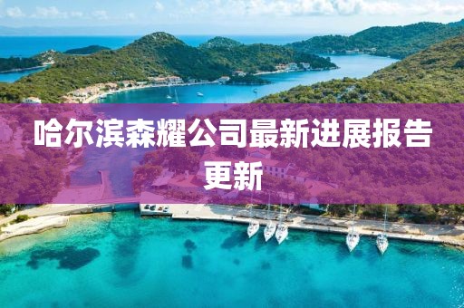 哈爾濱森耀公司最新進(jìn)展報(bào)告更新