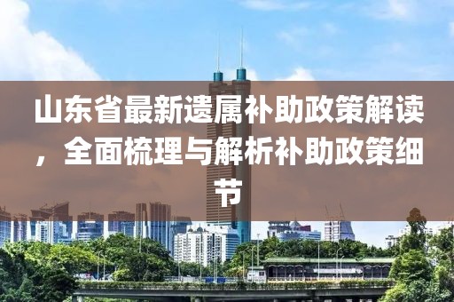 山東省最新遺屬補(bǔ)助政策解讀，全面梳理與解析補(bǔ)助政策細(xì)節(jié)
