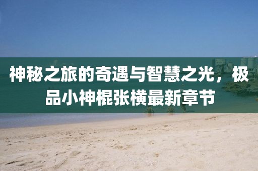 神秘之旅的奇遇與智慧之光，極品小神棍張橫最新章節(jié)