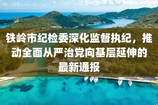 鐵嶺市紀檢委深化監(jiān)督執(zhí)紀，推動全面從嚴治黨向基層延伸的最新通報