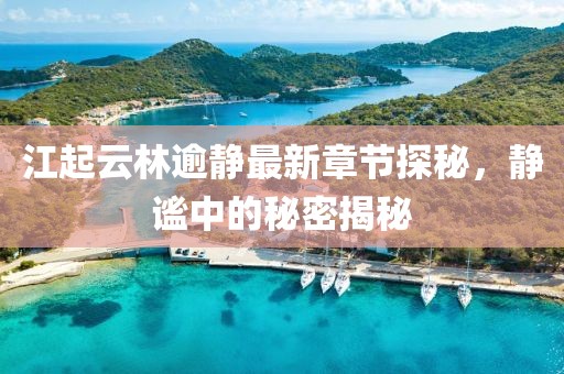 江起云林逾靜最新章節(jié)探秘，靜謐中的秘密揭秘