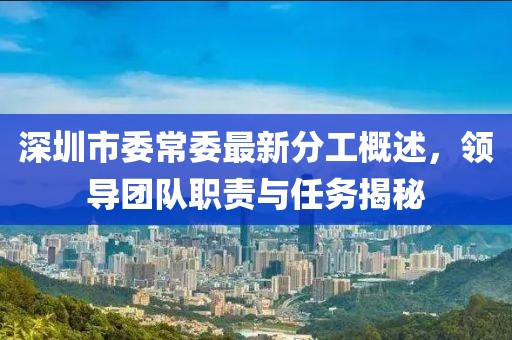 深圳市委常委最新分工概述，領(lǐng)導(dǎo)團(tuán)隊(duì)職責(zé)與任務(wù)揭秘