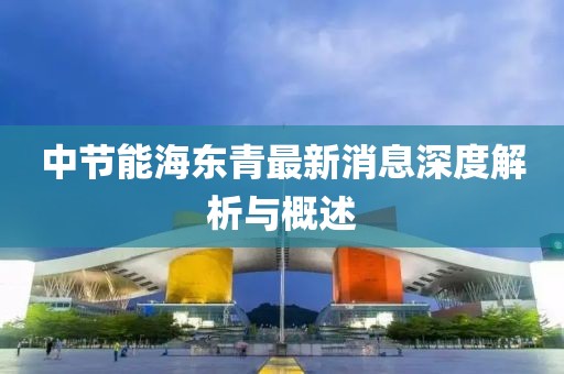 中節(jié)能海東青最新消息深度解析與概述