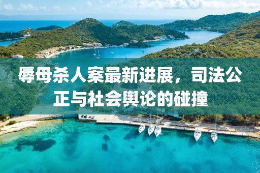 辱母殺人案最新進(jìn)展，司法公正與社會輿論的碰撞