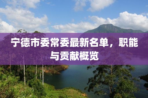 寧德市委常委最新名單，職能與貢獻概覽