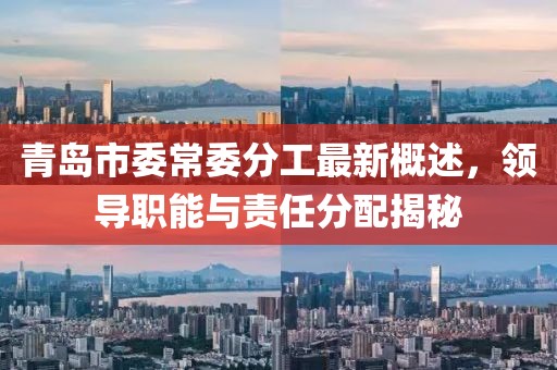 青島市委常委分工最新概述，領(lǐng)導(dǎo)職能與責(zé)任分配揭秘