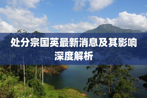 處分宗國英最新消息及其影響深度解析