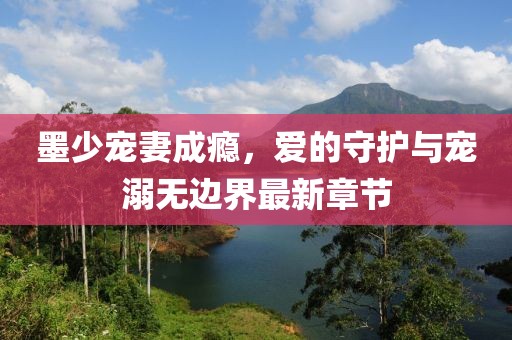 墨少寵妻成癮，愛的守護(hù)與寵溺無邊界最新章節(jié)