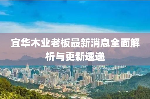 宜華木業(yè)老板最新消息全面解析與更新速遞