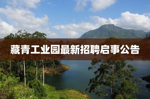 藏青工業(yè)園最新招聘啟事公告