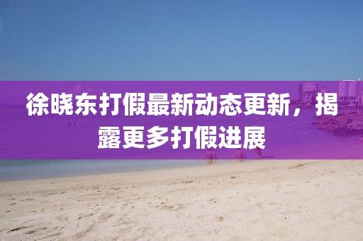 徐曉東打假最新動(dòng)態(tài)更新，揭露更多打假進(jìn)展