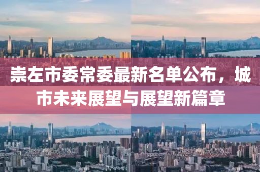 崇左市委常委最新名單公布，城市未來展望與展望新篇章