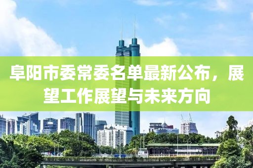 阜陽(yáng)市委常委名單最新公布，展望工作展望與未來方向